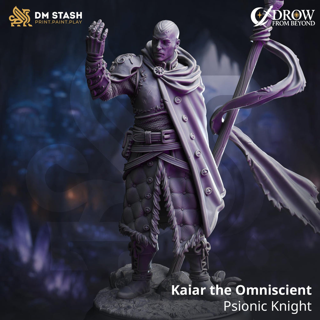 Kaiar the Omniscient | Human Fighter Monk Paladin | 32mm / 28mm / 75mm | Ideal for Tabletop RPGs | Dungeons and Dragons - Dm Stash