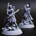 Irinax's Chosen | Female Drow Dark Elf Fighter | 32mm / 28mm / 75mm | Ideal for Tabletop RPGs | Dungeons and Dragons - Dm Stash