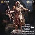 Vendimar Dark Sun Paladin | Human Elf Fighter Paladin | 32mm / 28mm / 75mm | Ideal for Tabletop RPGs | Dungeons and Dragons - Dm Stash