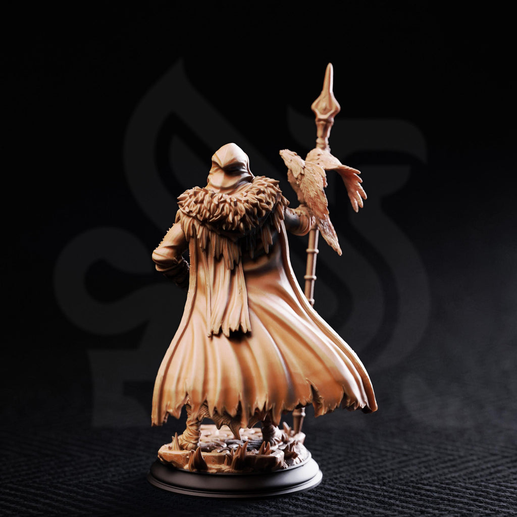 The One Eyed Wanderer | Nordic Druid Mage Sorcerer Wizard | 32mm / 28mm / 75mm | Ideal for Tabletop RPGs | Dungeons and Dragons - Dm Stash