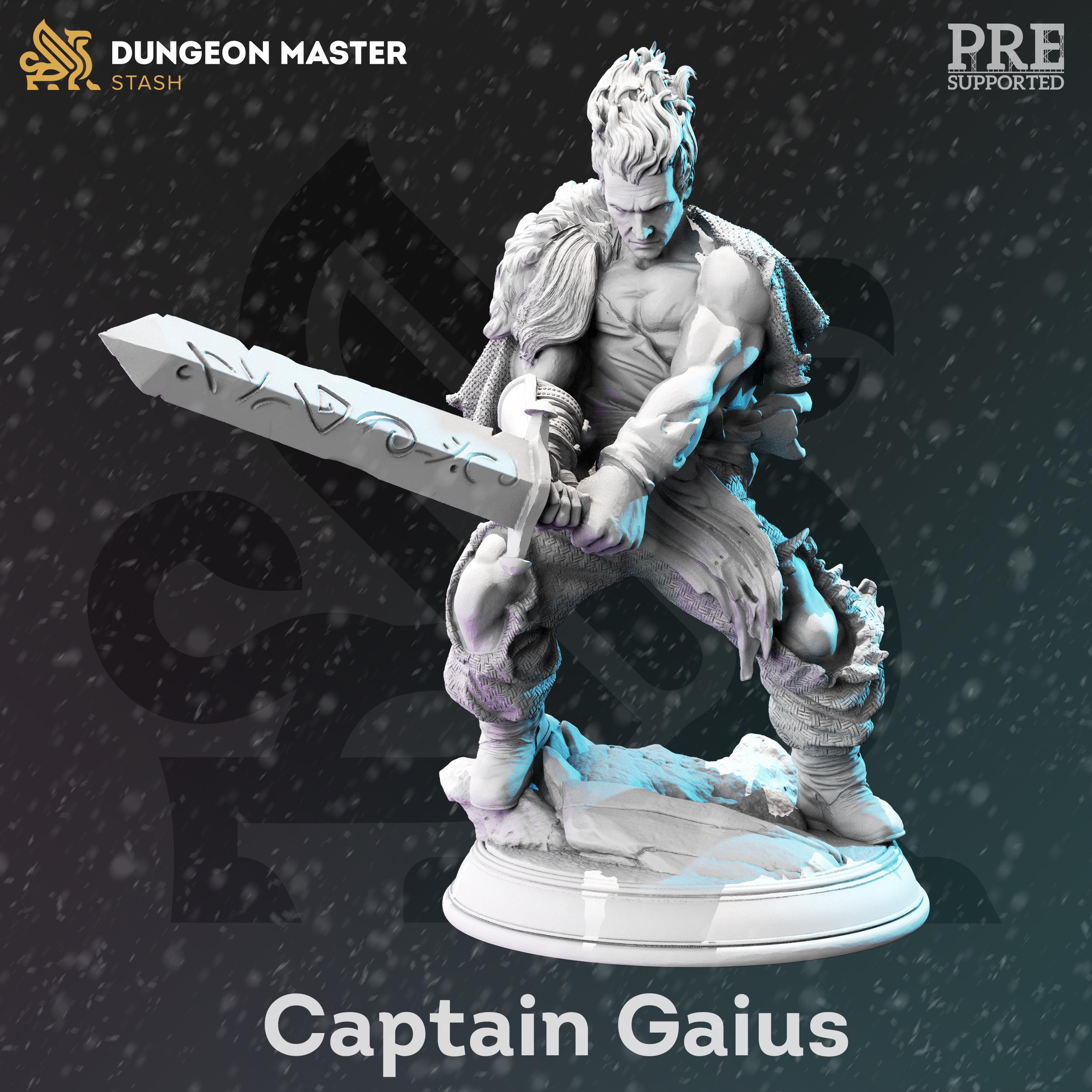 Gaius | Human Fighter Bloodhunter Paladin | 32mm / 28mm / 75mm | Ideal for Tabletop RPGs | Dungeons and Dragons - Dm Stash