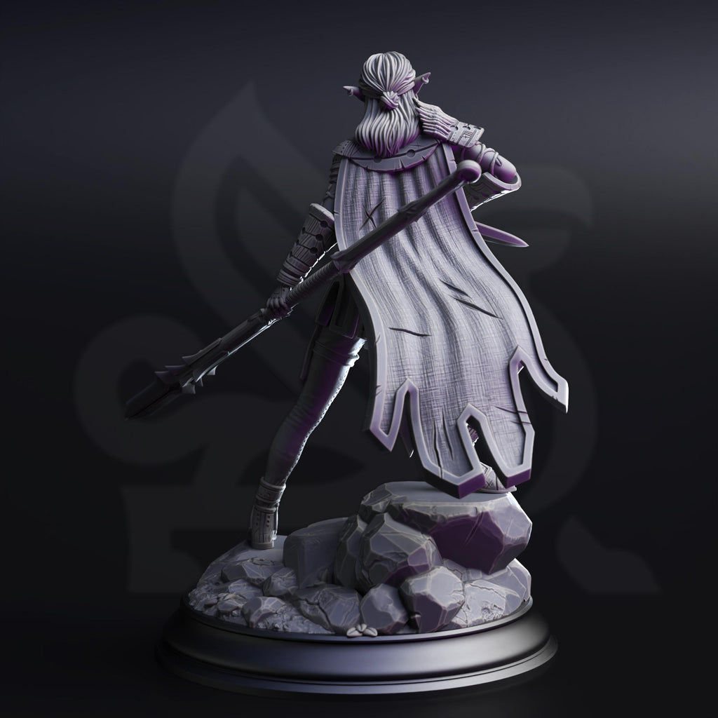 Vixa Indwynath | Female Drow Dark Elf Paladin Fighter | 32mm / 28mm / 75mm | Ideal for Tabletop RPGs | Dungeons and Dragons - Dm Stash