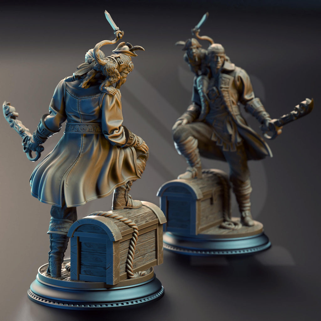 Ervin Wave Dancer | Pirate Elf Genasi Fighter Rogue  | 32mm / 28mm / 75mm | Ideal for Tabletop RPGs | Dungeons and Dragons - Dm Stash