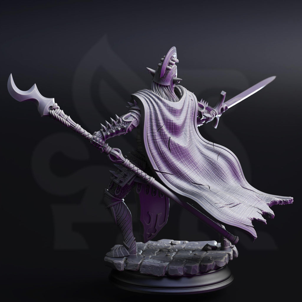The Ordained | Drow Dark Elf Paladin Fighter | 32mm / 28mm / 75mm | Ideal for Tabletop RPGs | Dungeons and Dragons - Dm Stash