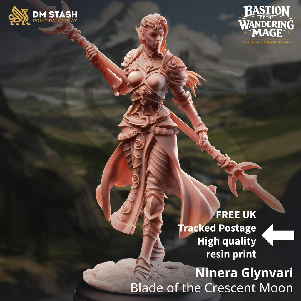 Ninera Drow Elf Paladin DND Miniature | 32mm Resin RPG Figure Dungeons and Dragons
