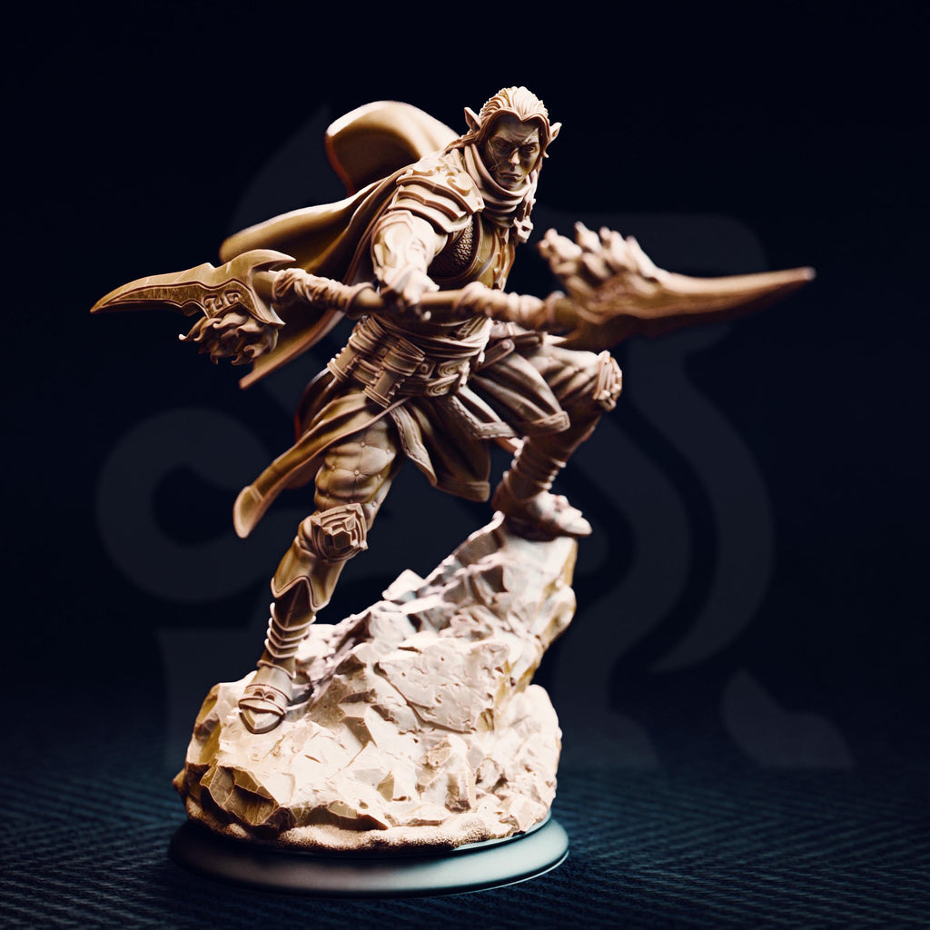 Reyvith The Valiant | Elf Fighter Paladin | 32mm / 28mm / 75mm | Ideal for Tabletop RPGs | Dungeons and Dragons - Dm Stash