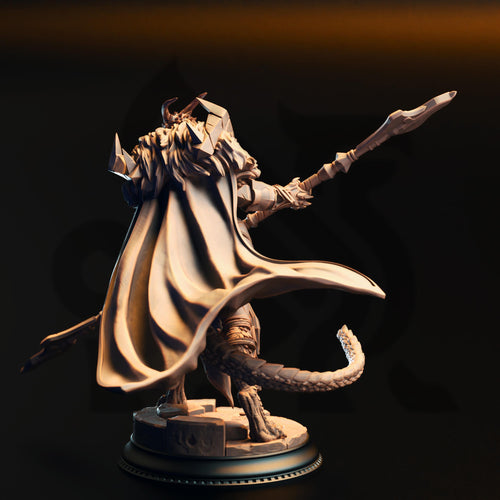Apokis The Resolute | Dragonborn Knights Fighter Paladin | 32mm / 28mm / 75mm | Ideal for Tabletop RPGs | Dungeons and Dragons - Dm Stash