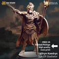 Vilryn Gladiator | Elf Eladrin Drow Paladin Fighter | 32mm / 28mm / 75mm | Ideal for Tabletop RPGs | Dungeons and Dragons - Dm Stash