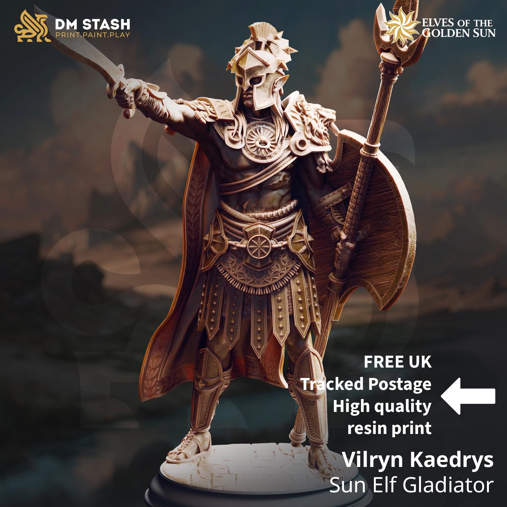 Vilryn Gladiator | Elf Eladrin Drow Paladin Fighter | 32mm / 28mm / 75mm | Ideal for Tabletop RPGs | Dungeons and Dragons - Dm Stash