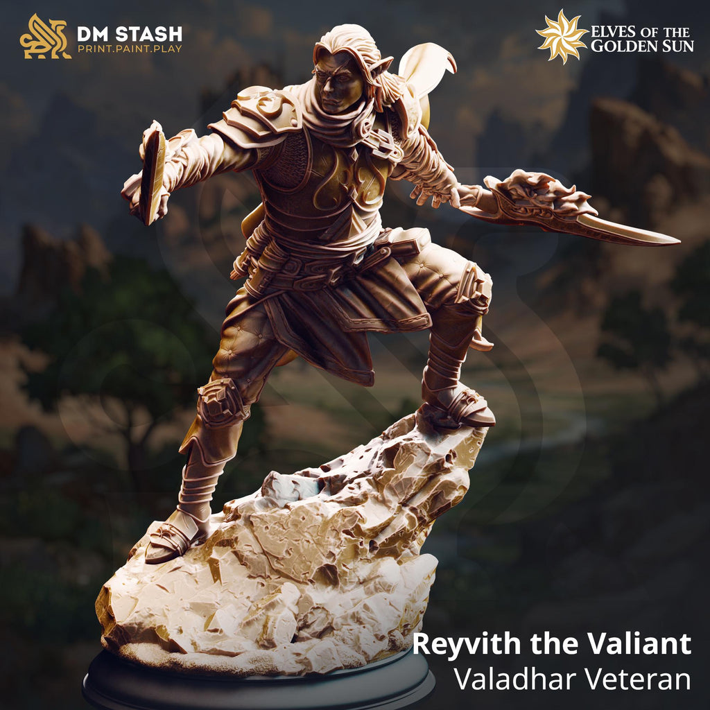 Reyvith The Valiant | Elf Fighter Paladin | 32mm / 28mm / 75mm | Ideal for Tabletop RPGs | Dungeons and Dragons - Dm Stash