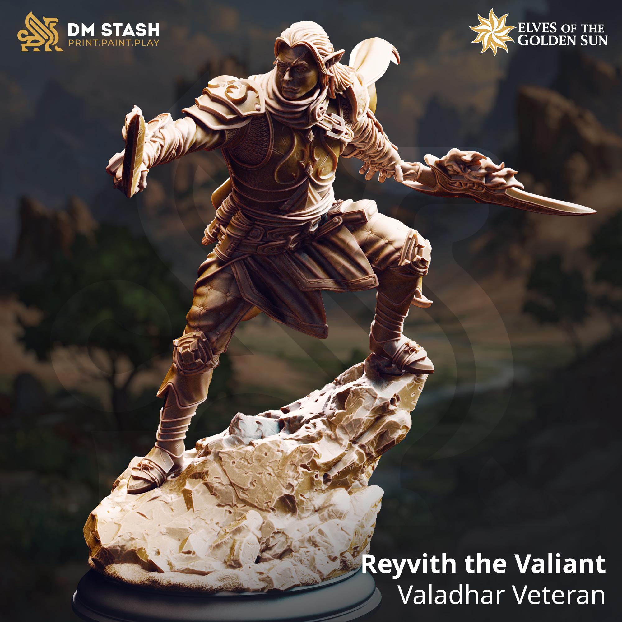 Reyvith The Valiant | Elf Fighter Paladin | 32mm / 28mm / 75mm | Ideal for Tabletop RPGs | Dungeons and Dragons - Dm Stash